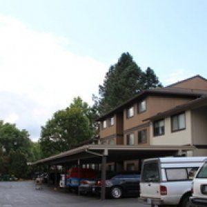 Hidden Pines