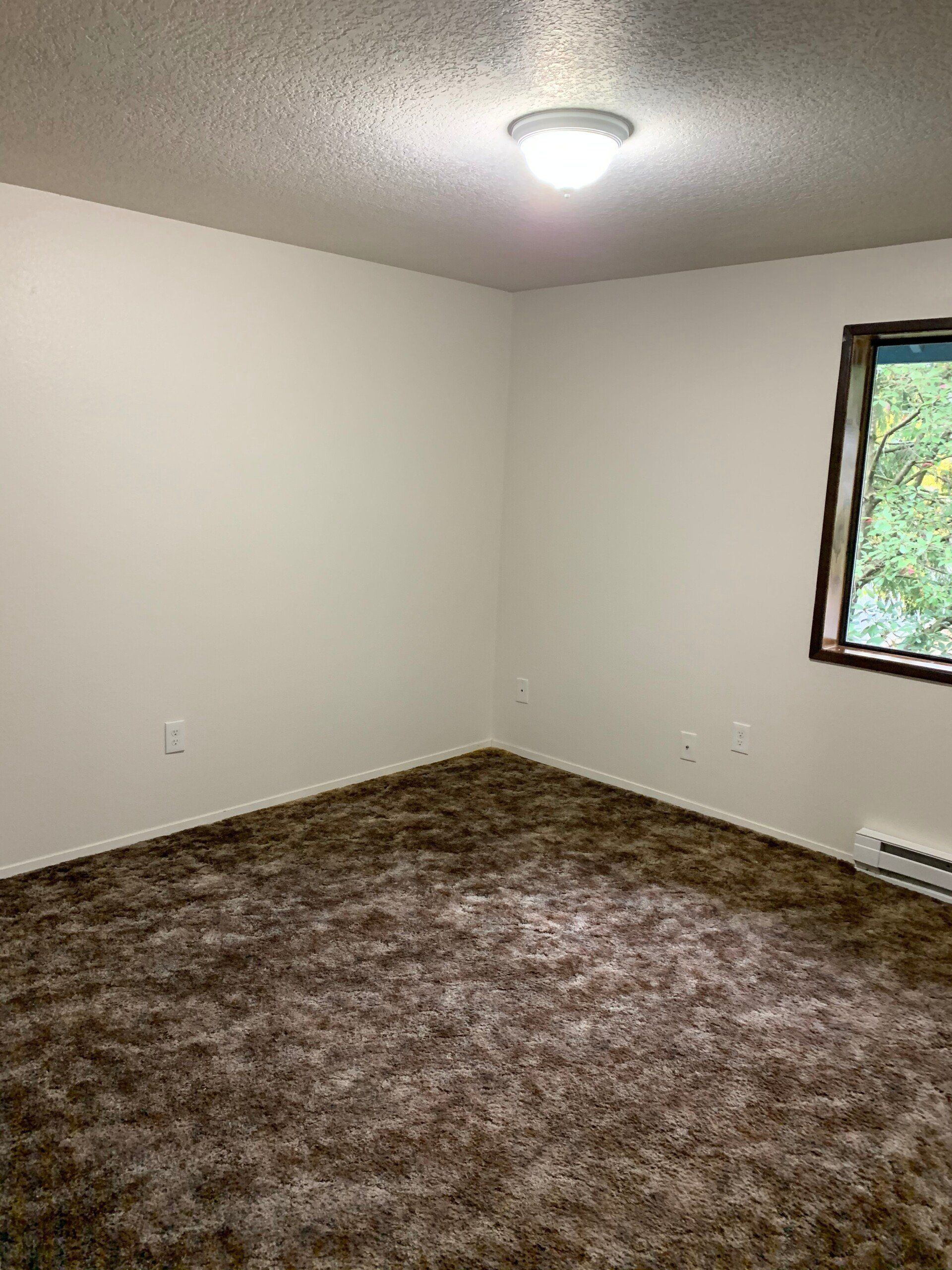 An empty bedroom with a brown carpet and a window.