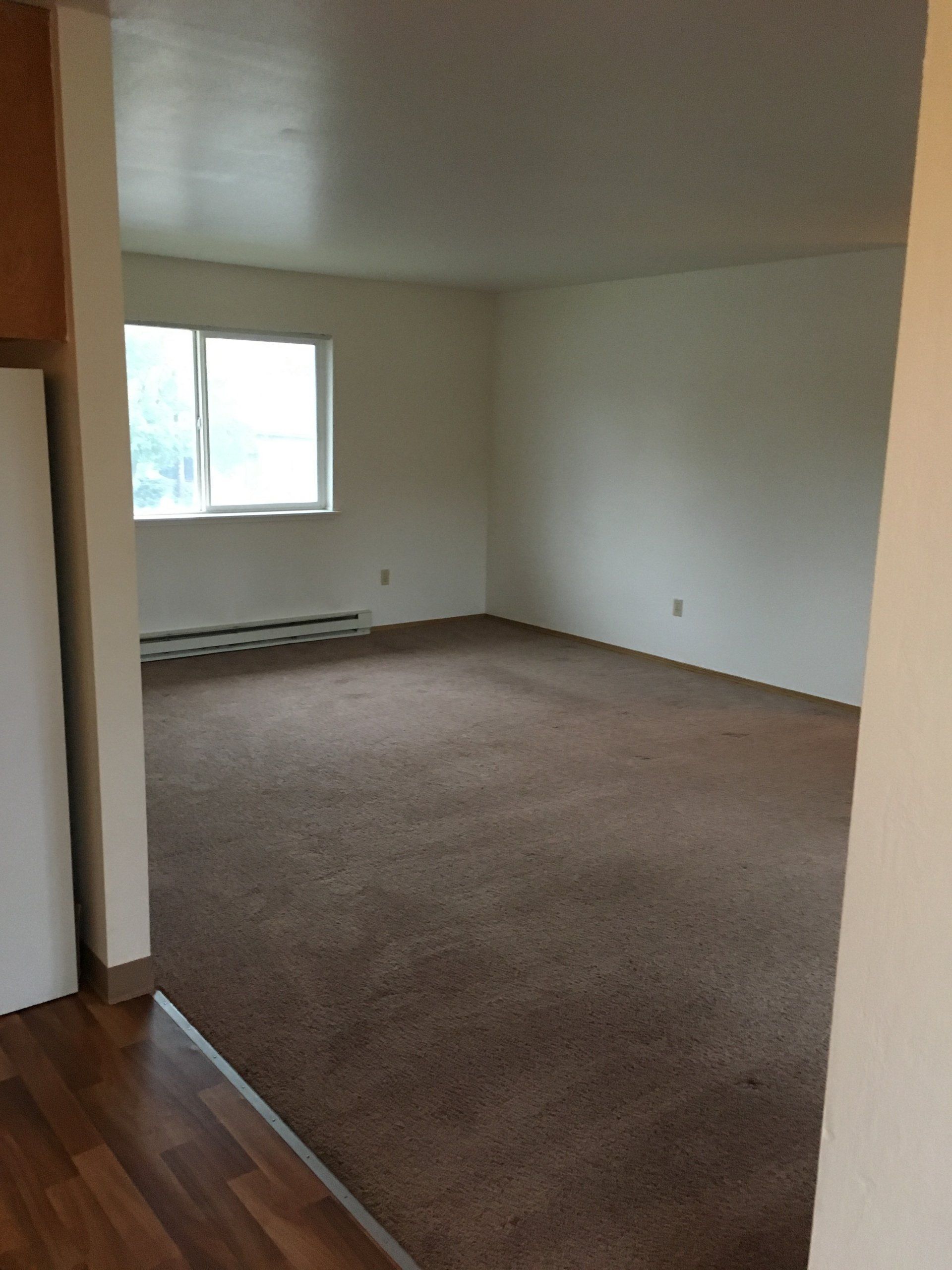 An empty living room with brown carpet and a window