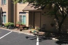 A house with a tree in front of it and a parking lot in front of it.