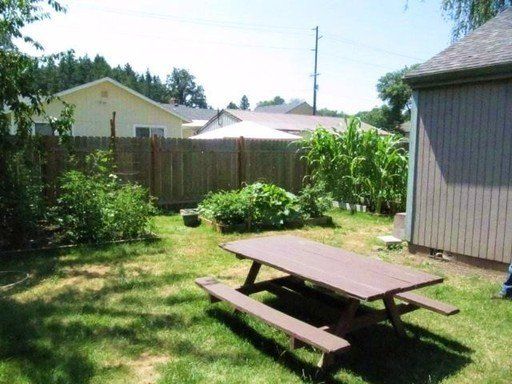 A picnic table in a backyard with a shed in the background
