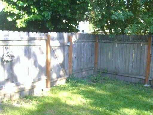 A wooden fence surrounds a lush green yard