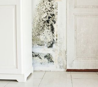 Damp proofing on wall