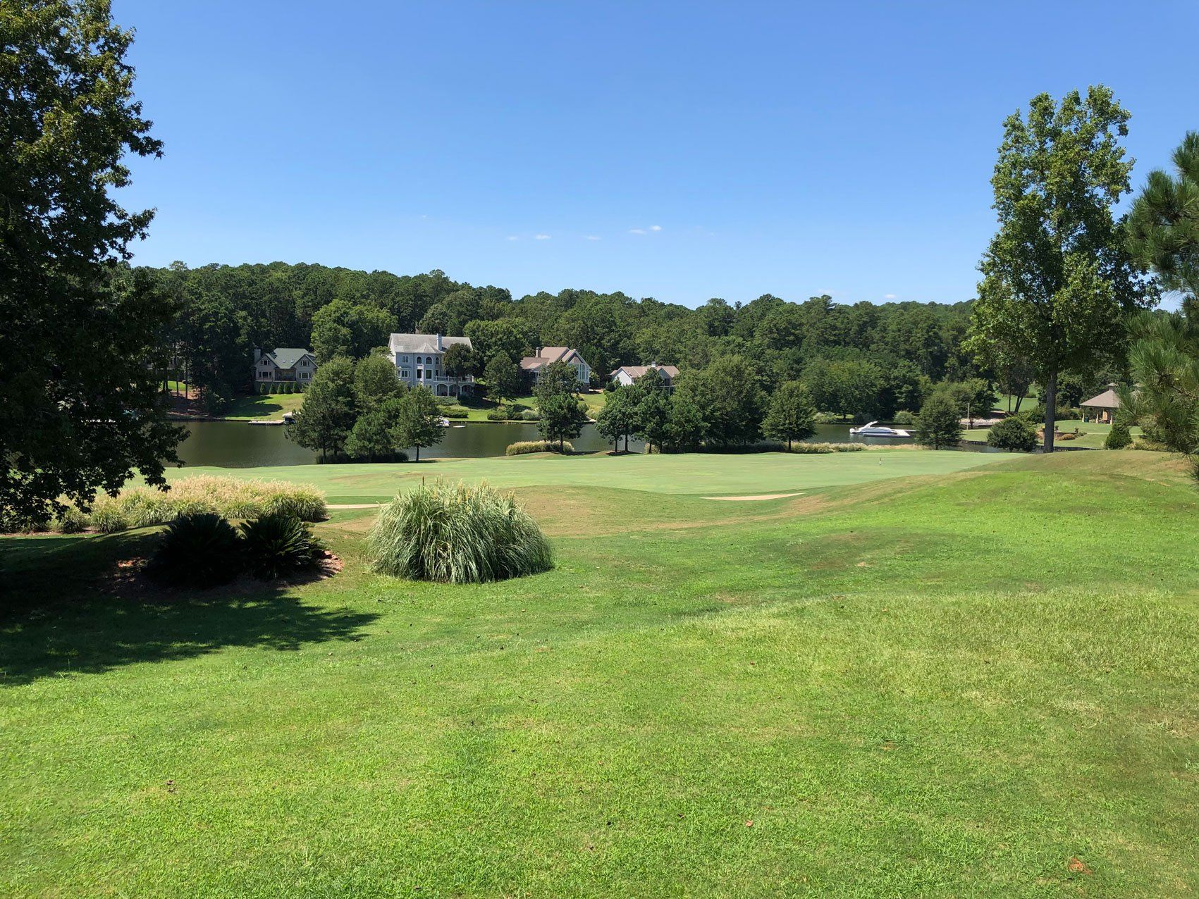 1181gcview