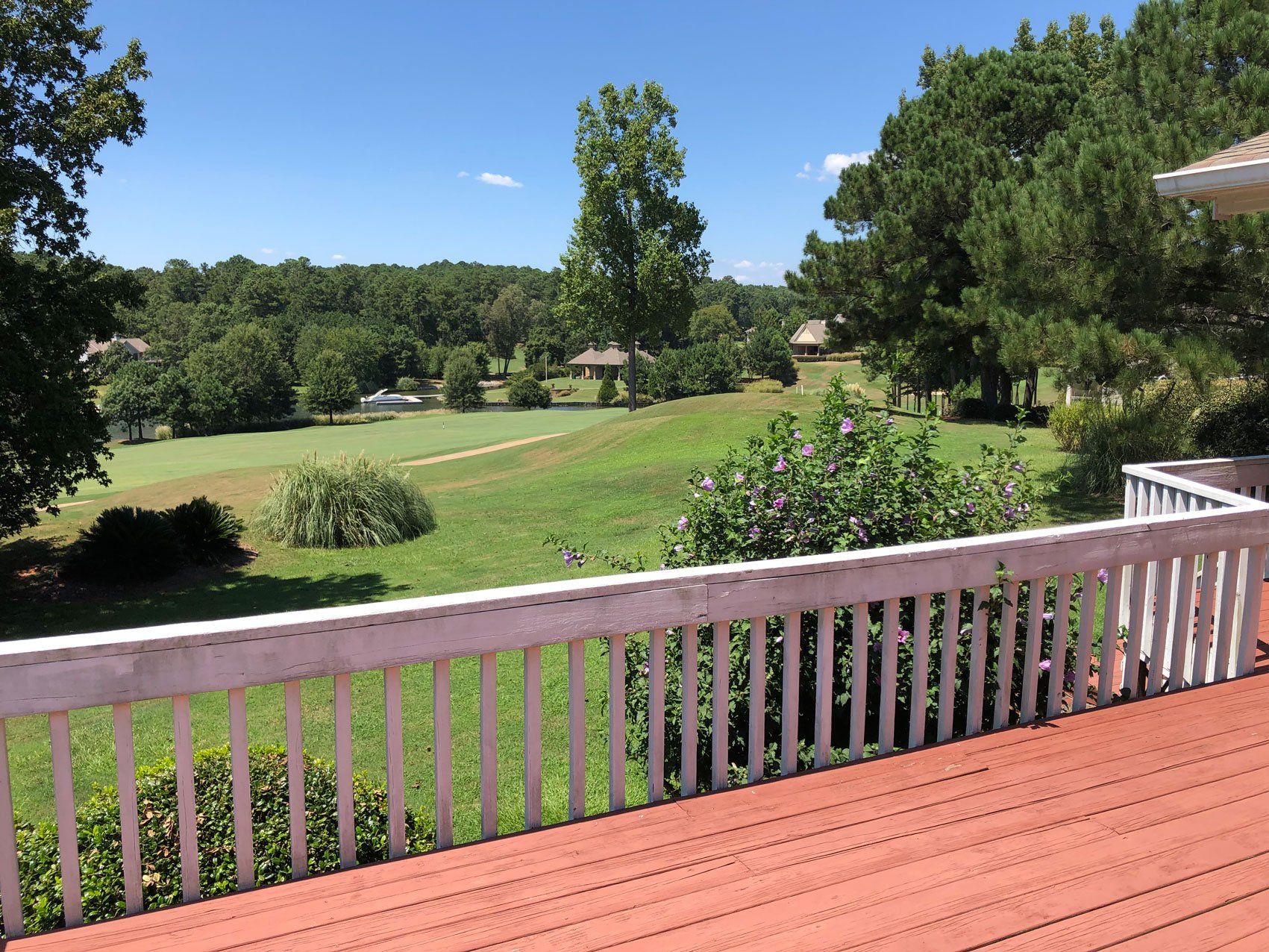1181gcview#2