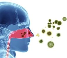studio allergologia, allergologia, specialista allergologia studio allergologia, allergologia, specialista allergologia