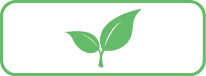spring leaves icon