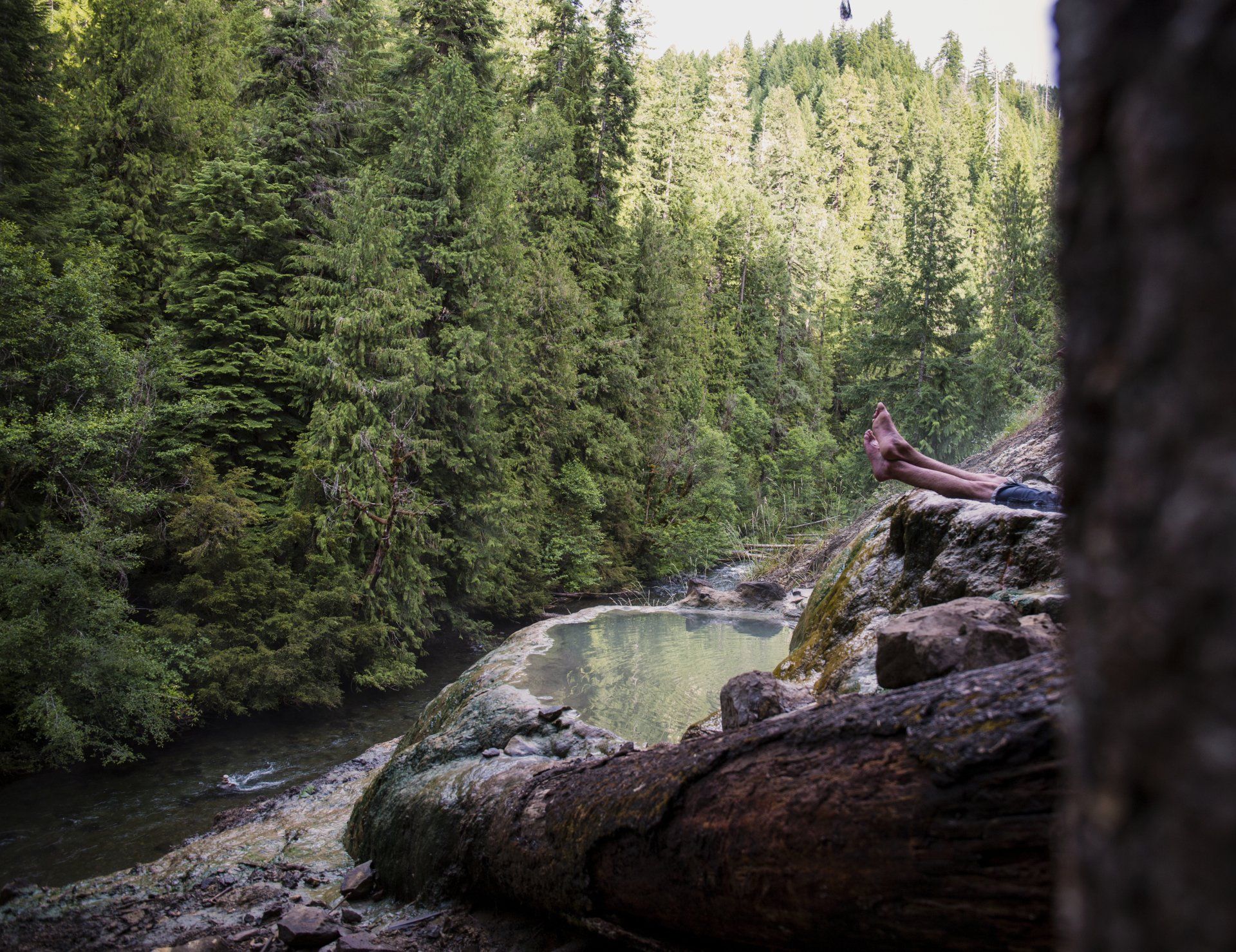 One of the greatest stops on the Umpqua River adventure is an opportunity to soak in hotsprings. 