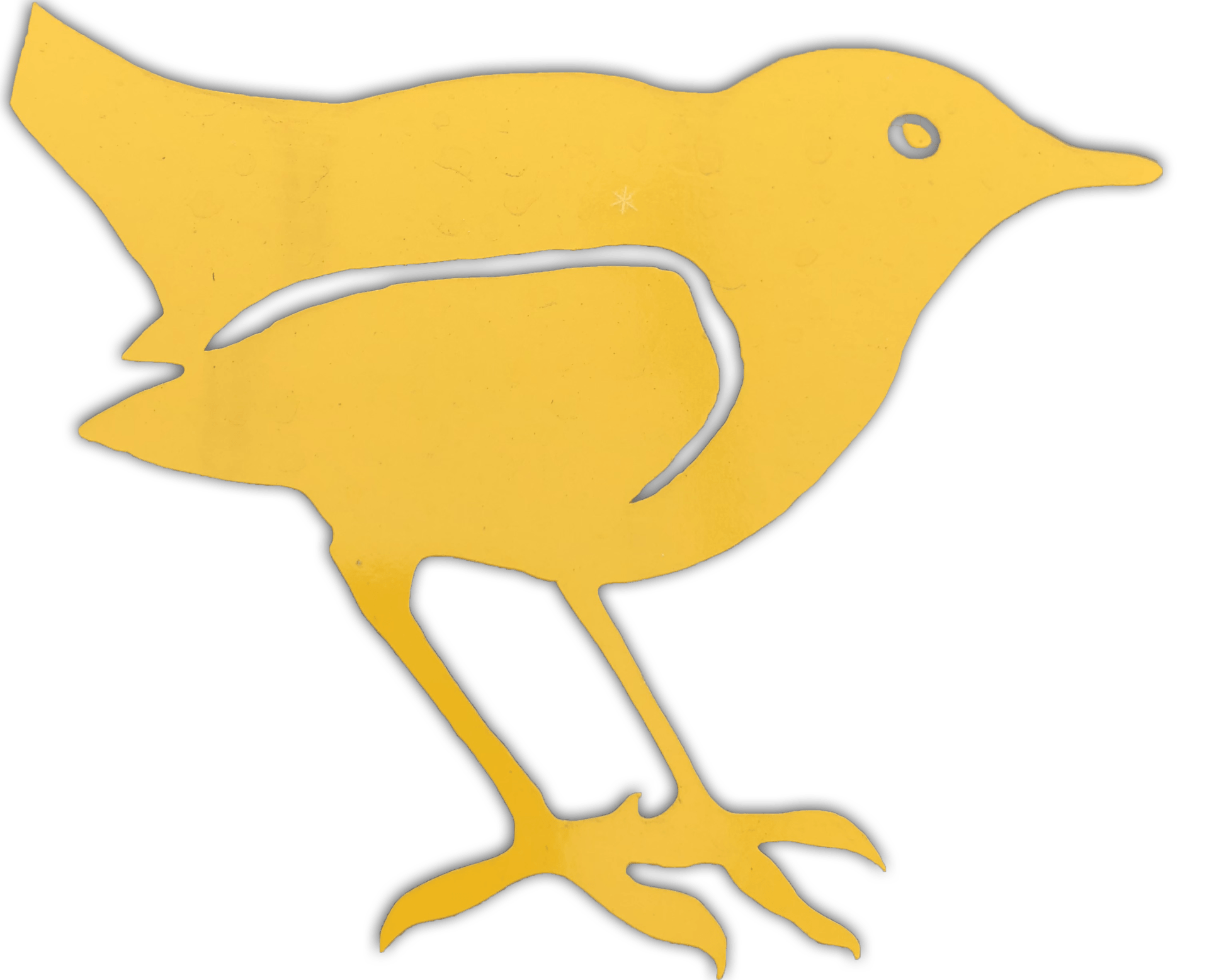 This is an illustration of an Ouzel.