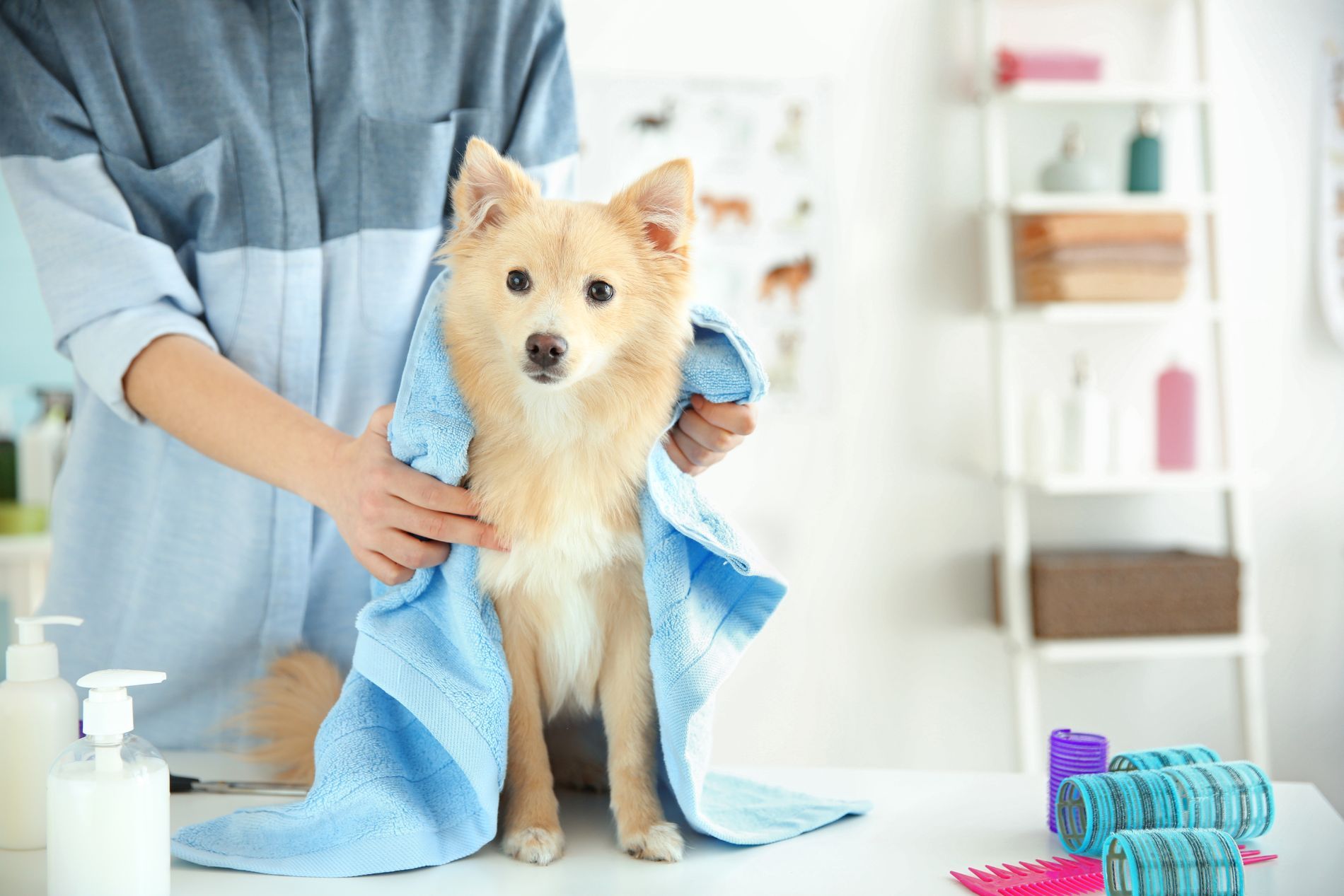 bagni medicali per animali