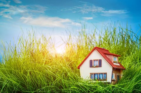 Little House on the green grass