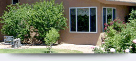 Window Replacements