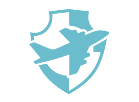 flight icon
