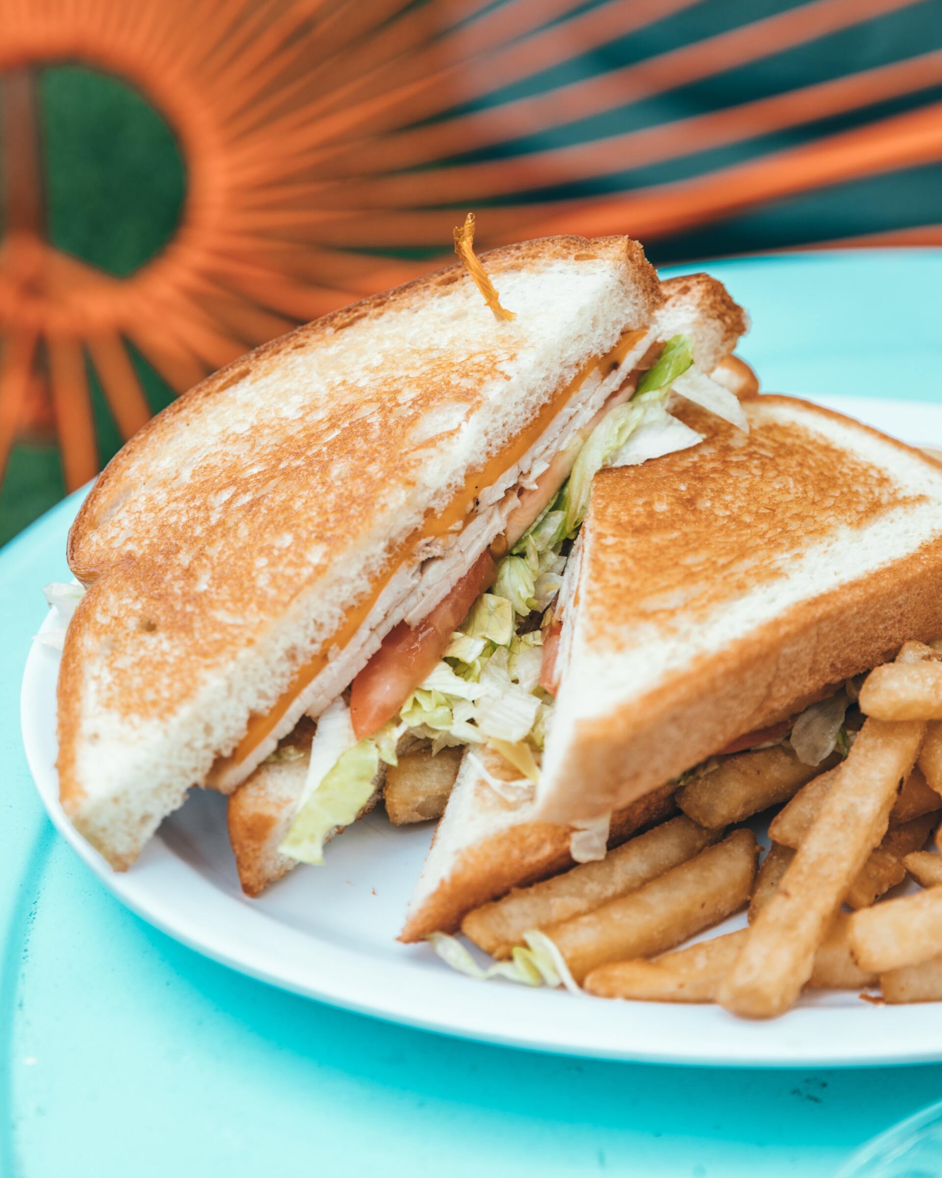 Sandwich and fries