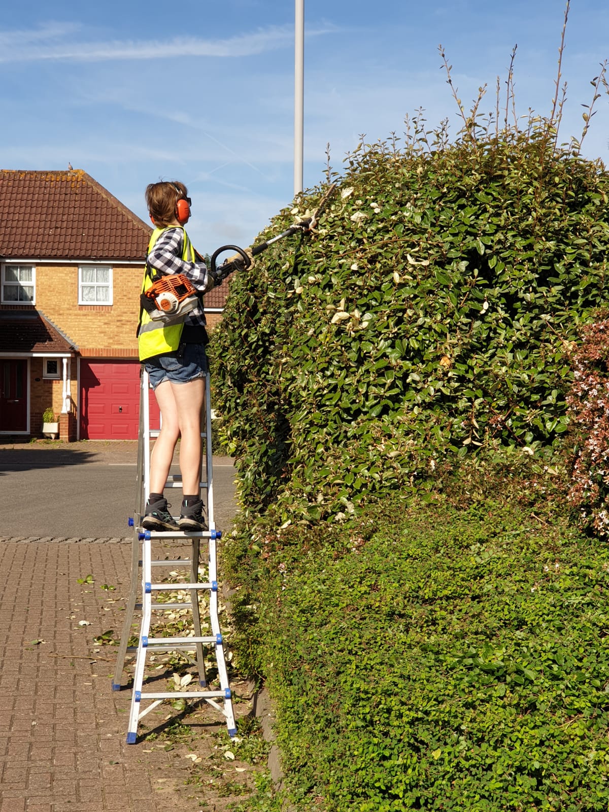 hedgetrimming