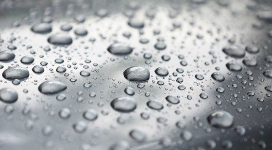 Auto Paint Protection Film — Rain Drops on a Car Paint in Placenta, CA