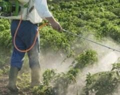 addetto con pompa a spalla durante una bonifica ambientale