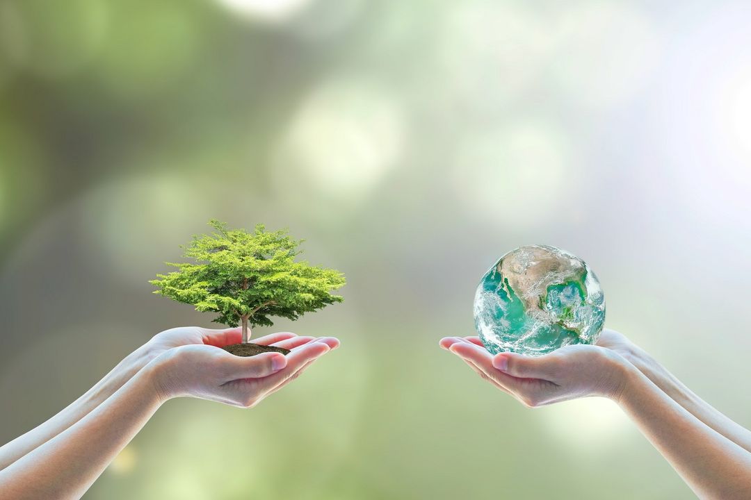 Ecologia