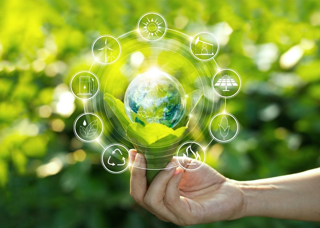 Rispetto dell'ambiente