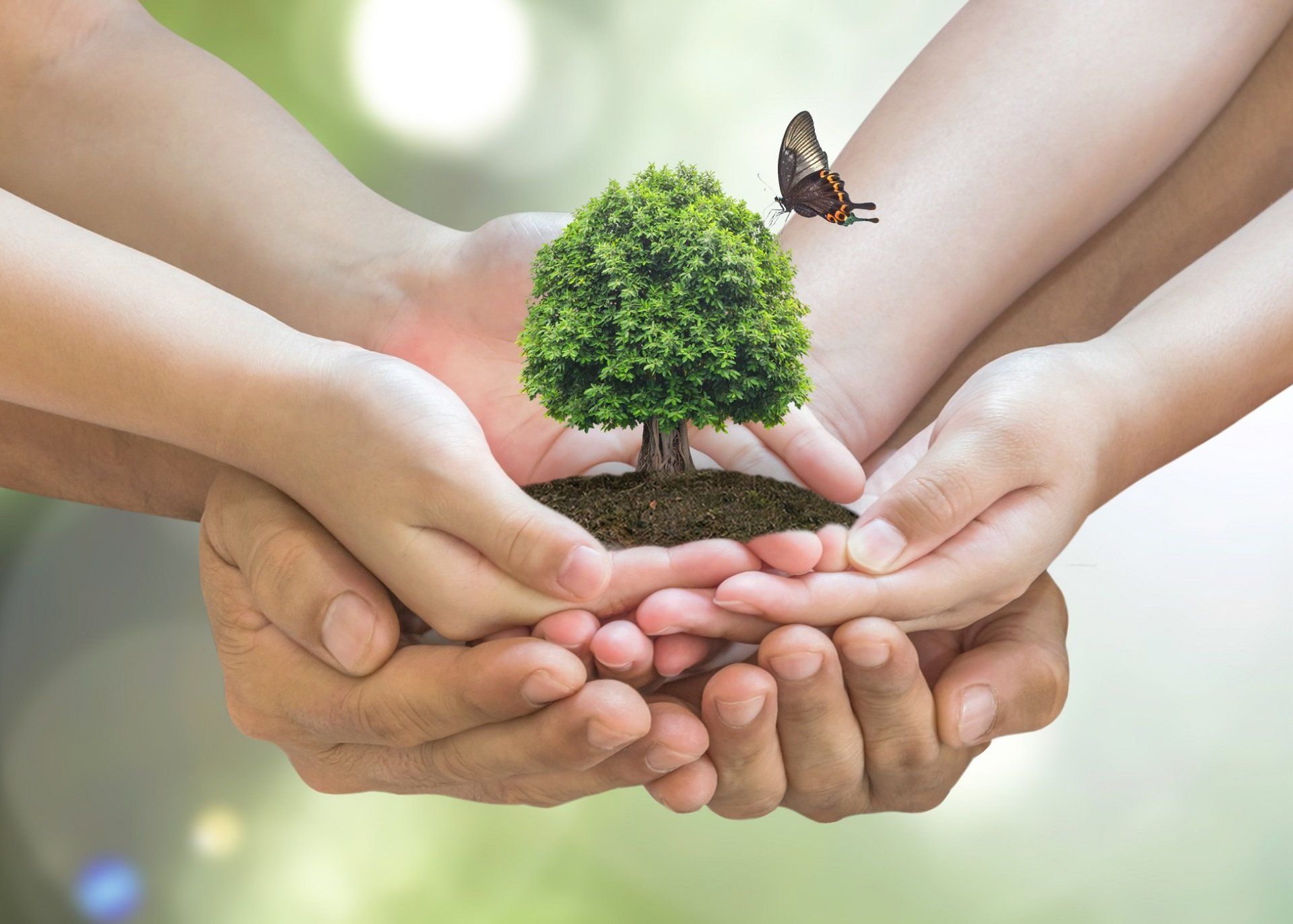 Protezione dell'ambiente