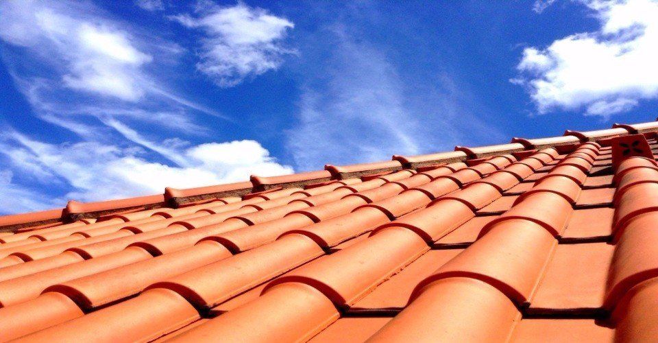 New roof
