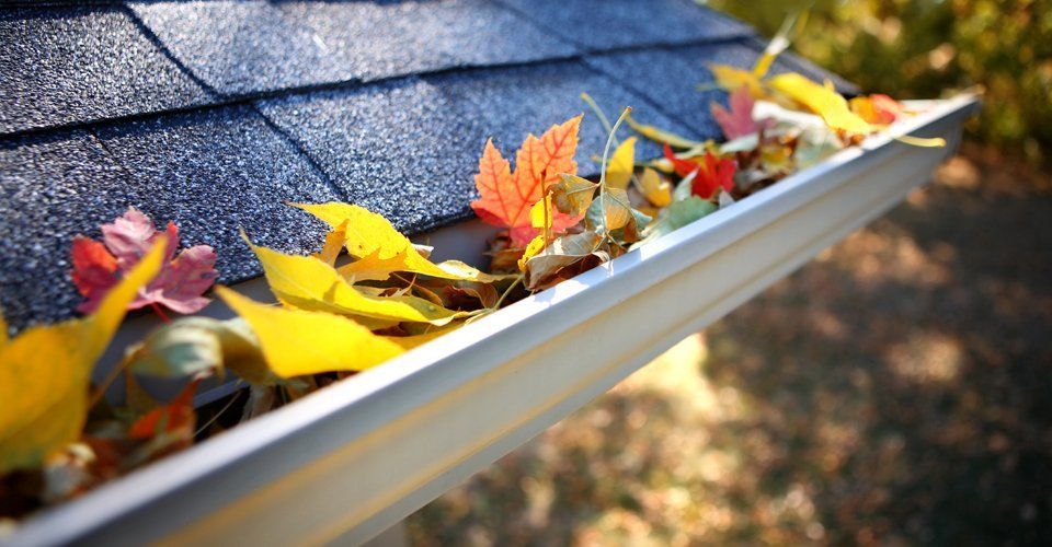 roof gutter