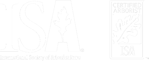 ISA logo