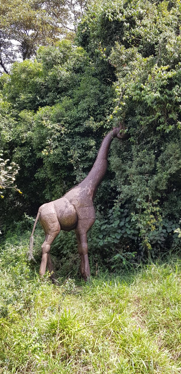 A statue of a giraffe eating leaves from a tree in a field.