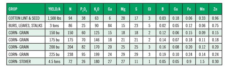 nutrient uptake