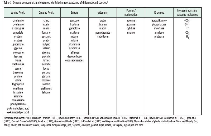 root exudates