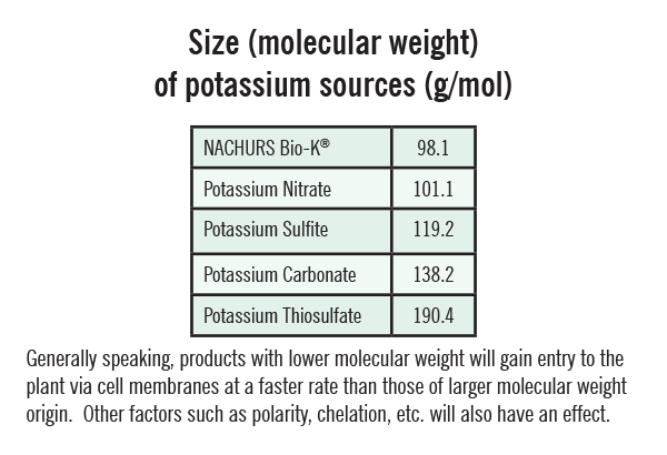 potassium sources
