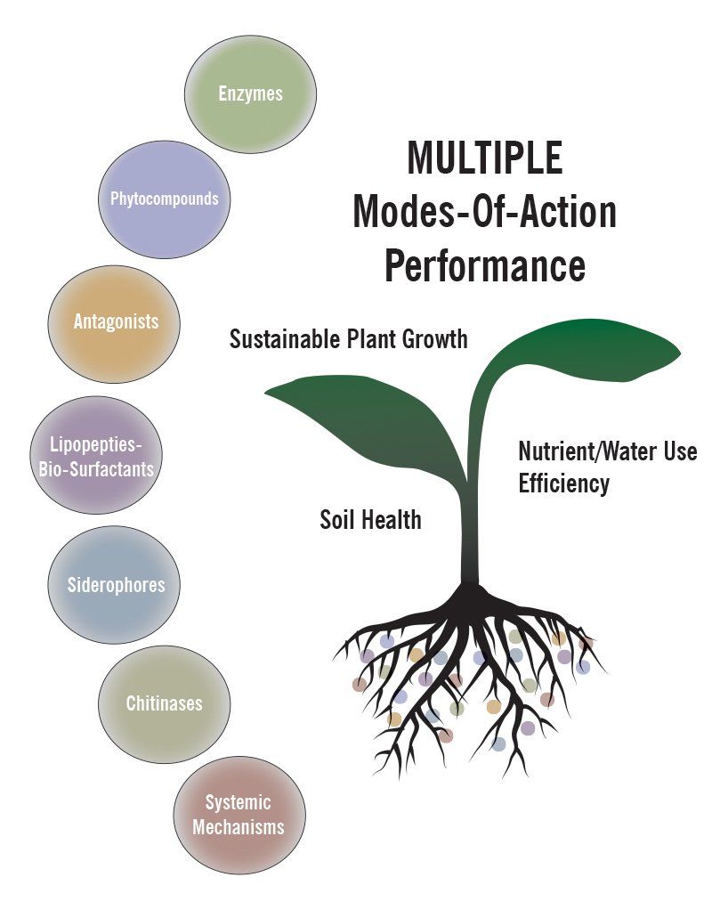 multiple modes of action