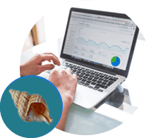 We can help you develop a solid Marketing Plan Websites that are SEO ready