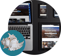 Great selection of Templates Websites for the Treasure Coast