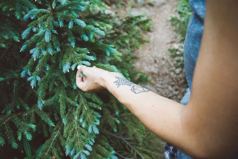 woman feelings pine tree