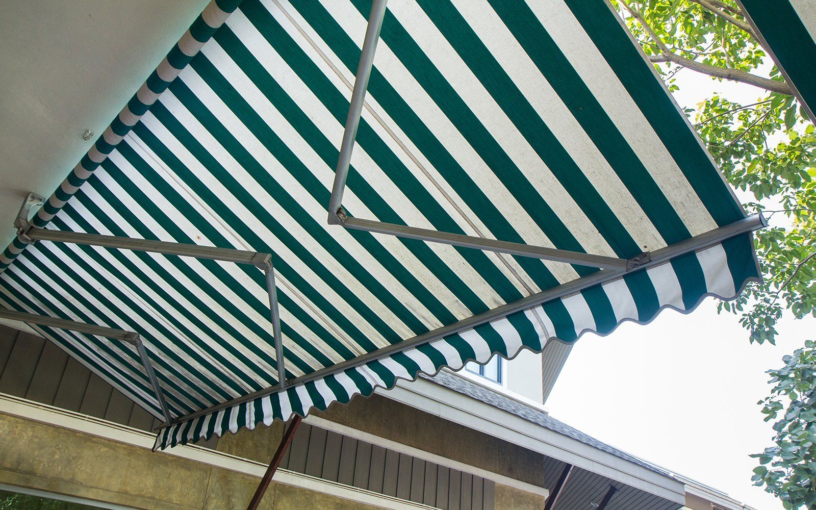 Verde e bianco tappeto a strisce di negozio