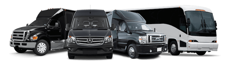 Tampa concert party bus services Tampa party bus service