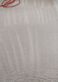 cleaned carpet