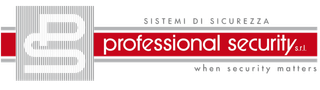 PROFESSIONAL SECURITY LOGO