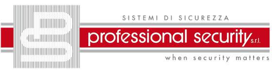 PROFESSIONAL SECURITY LOGO
