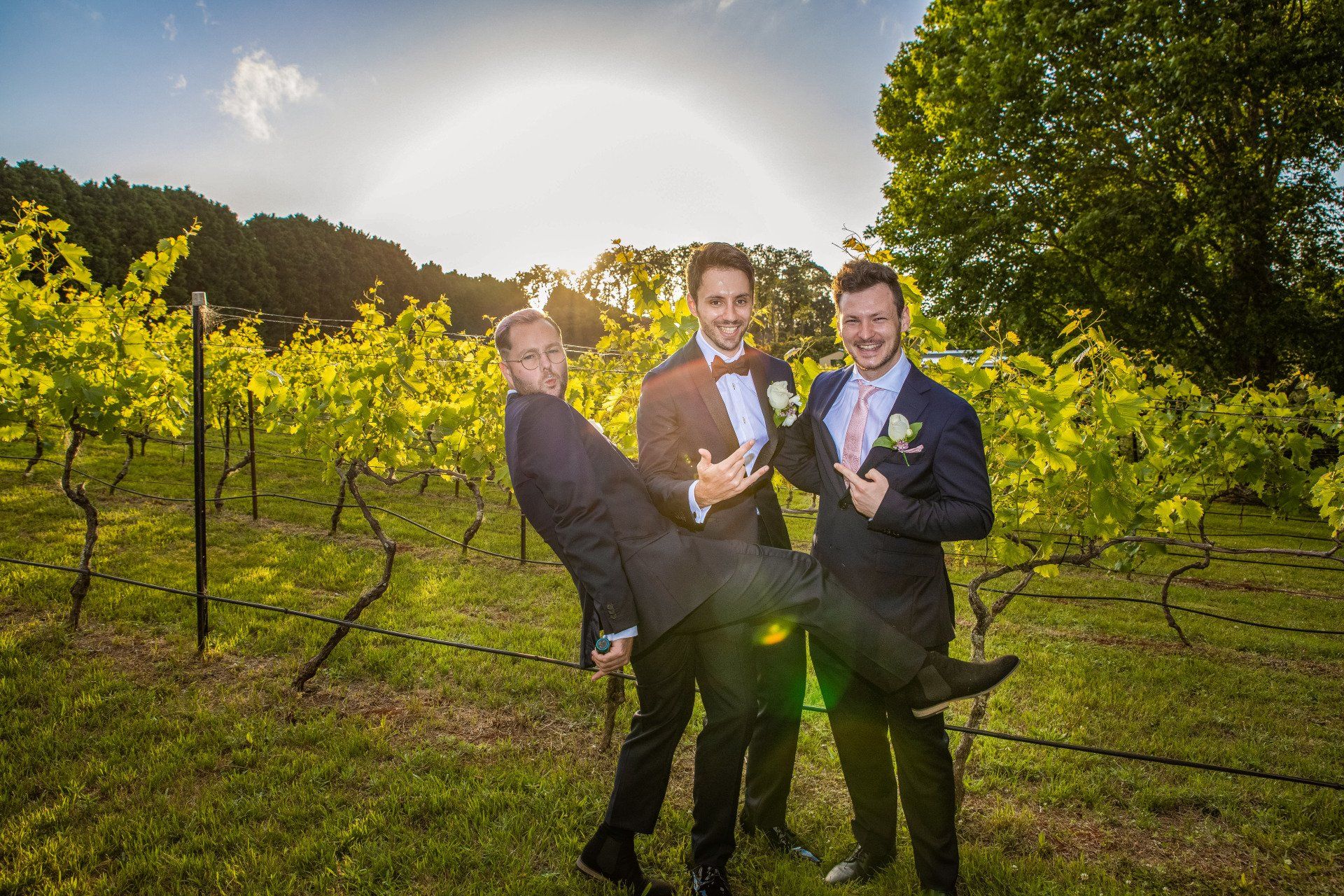 Wedding Photographer Tamborine Mountain - groomsman are posing for a picture in a vineyard .