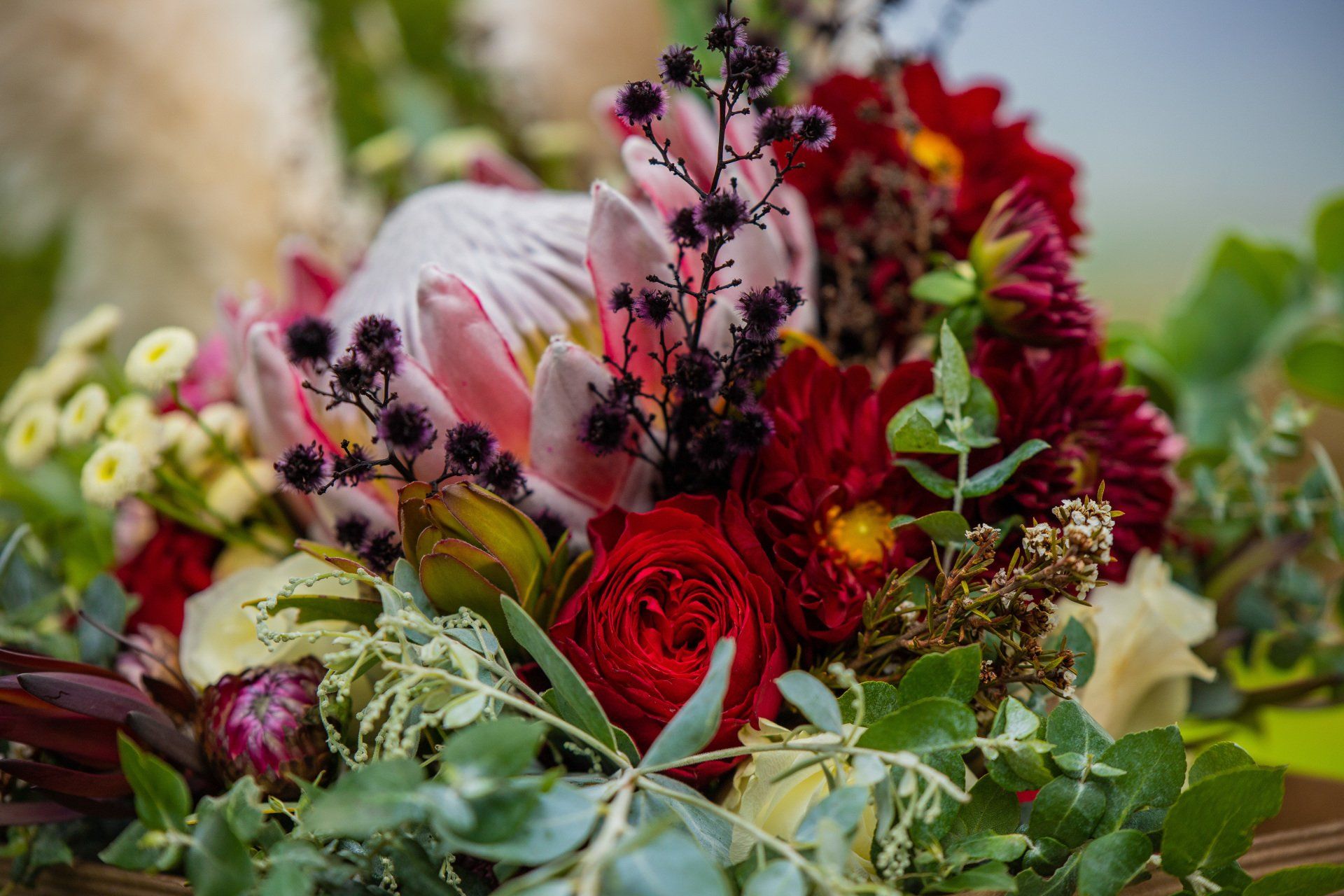 Wedding Photography