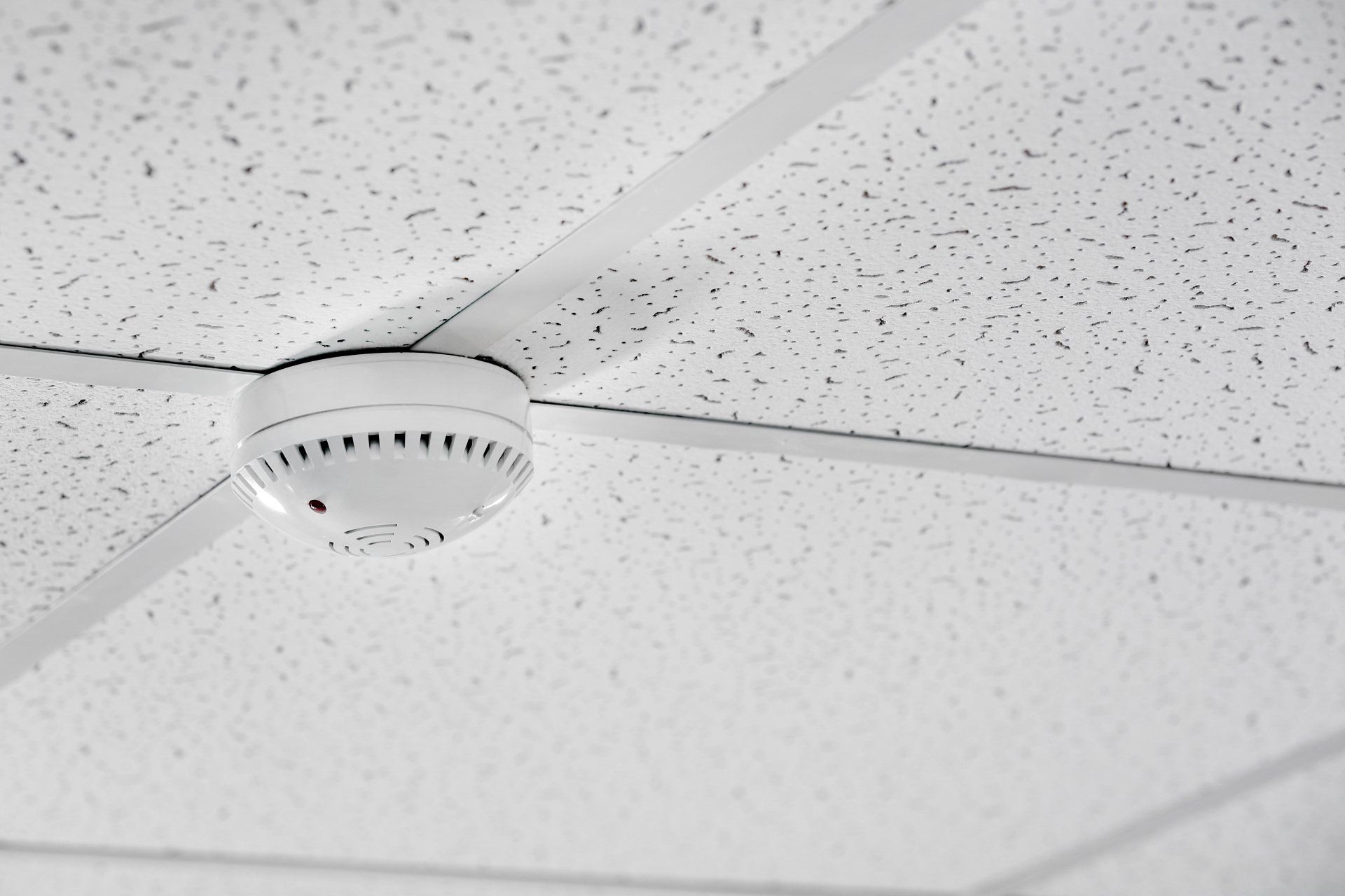 Drop Ceiling Installation