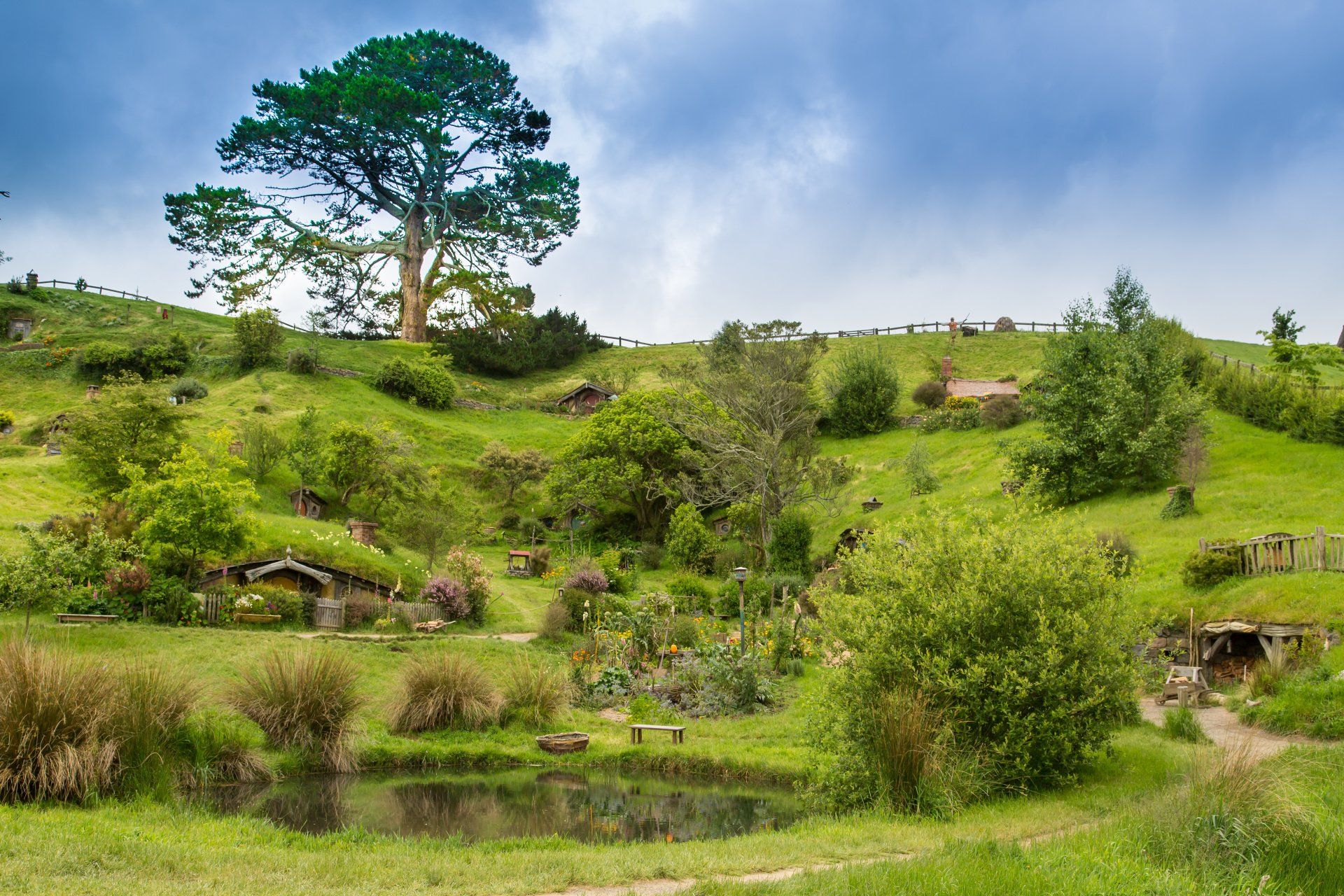 Communities in Harmony With Nature