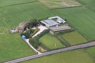 top view