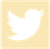 Twitter Logo Yellow