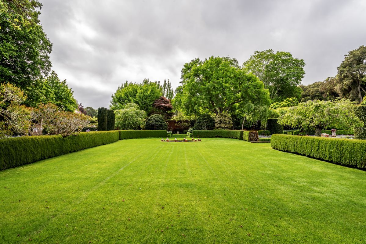 cura dei giardini