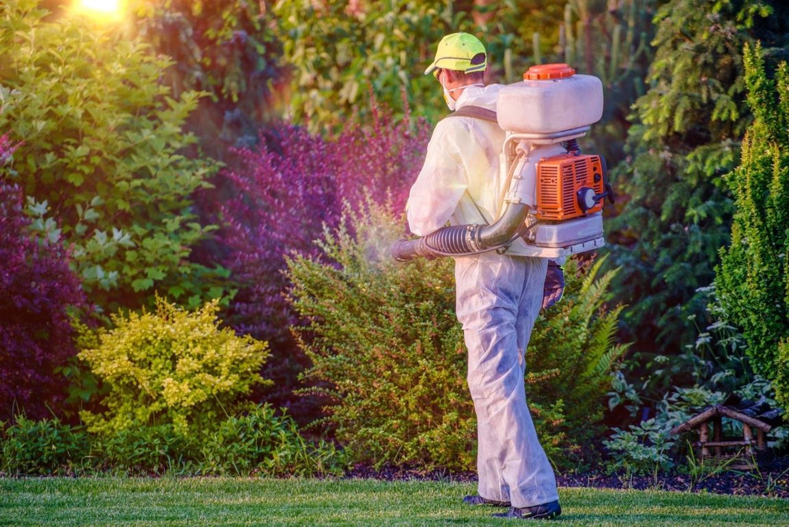 disinfezione professionale