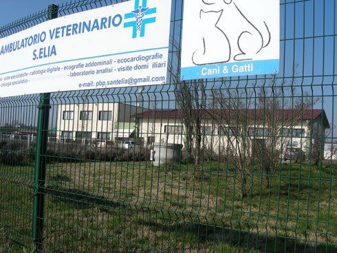 Esterno dell'ambulatorio veterinario S. Elia con vista giardino