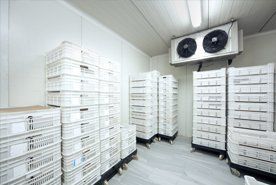 Industrial refrigeration